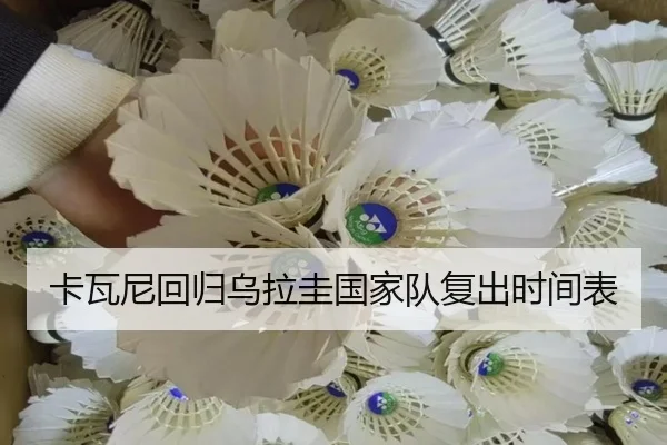 卡瓦尼回归乌拉圭国家队复出时间表